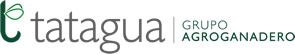 Tatagua